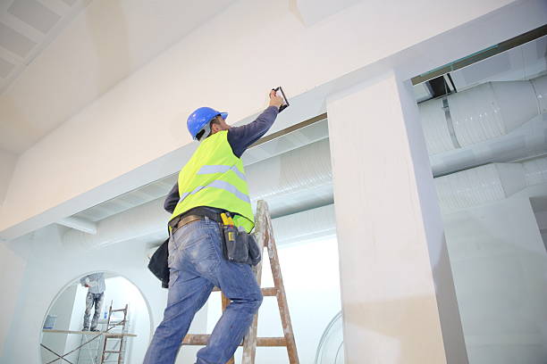 Three Rivers, OR Mold Removal Company