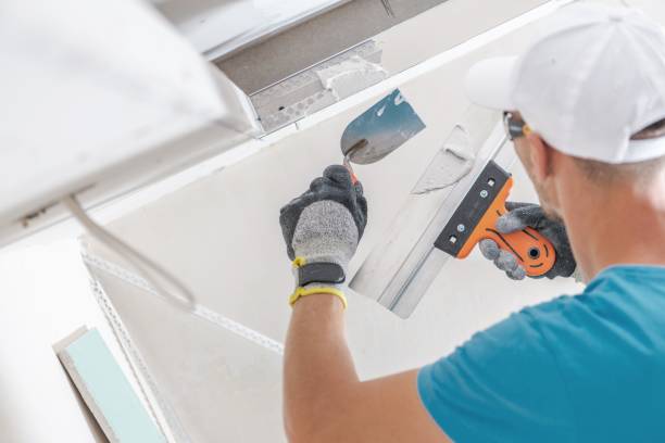 Best Post-Construction Mold Inspection  in Three Rivers, OR